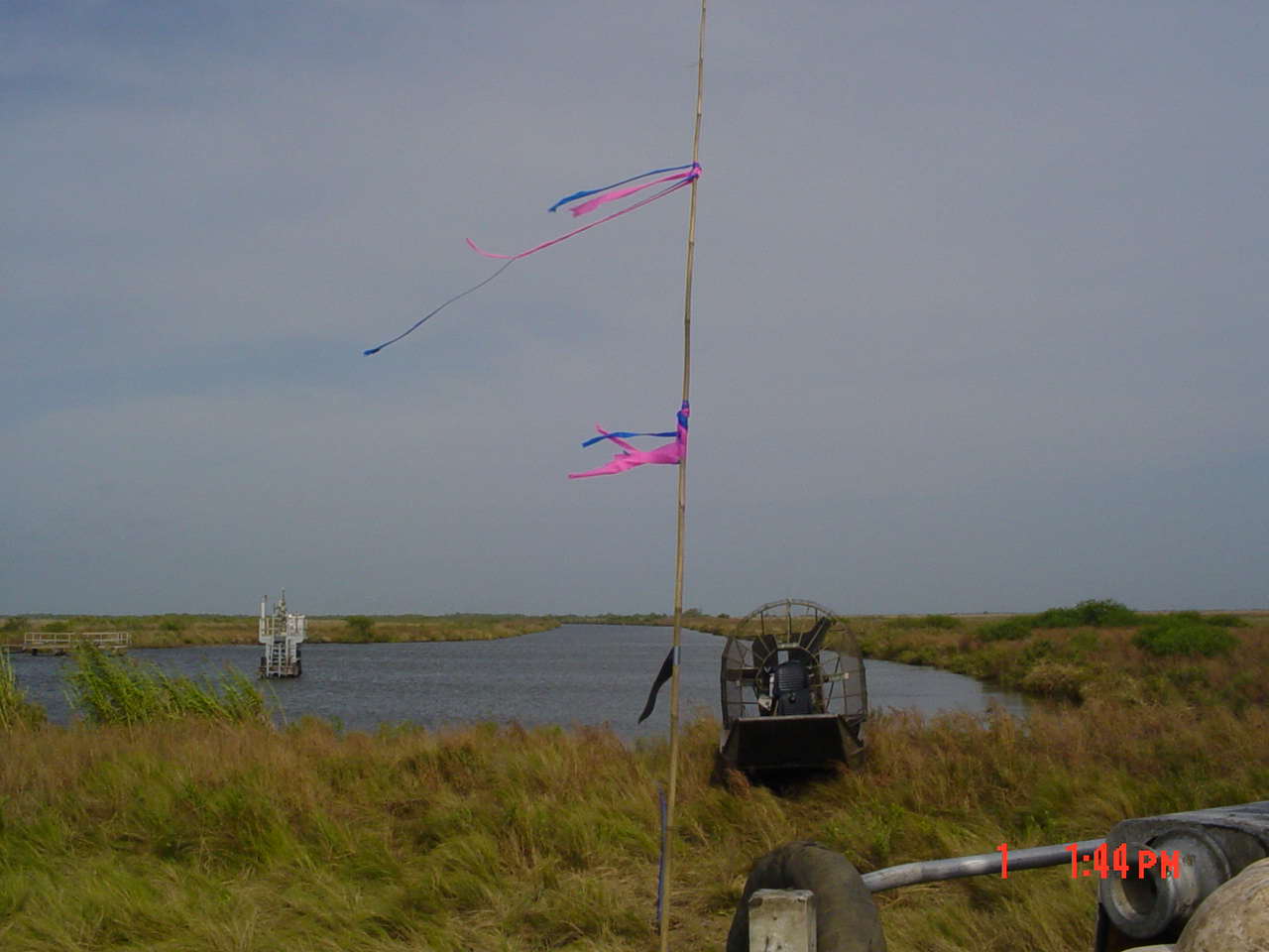 Coastal Marsh, Southwest Louisiana